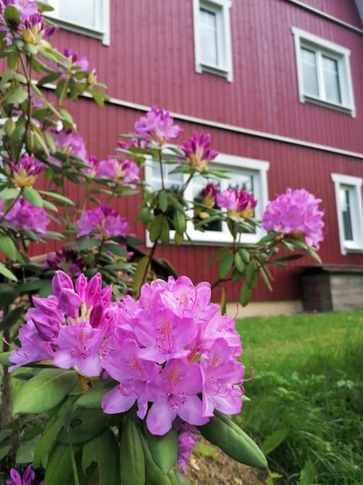 Haus Gruenfels Apartment Murau Exterior photo