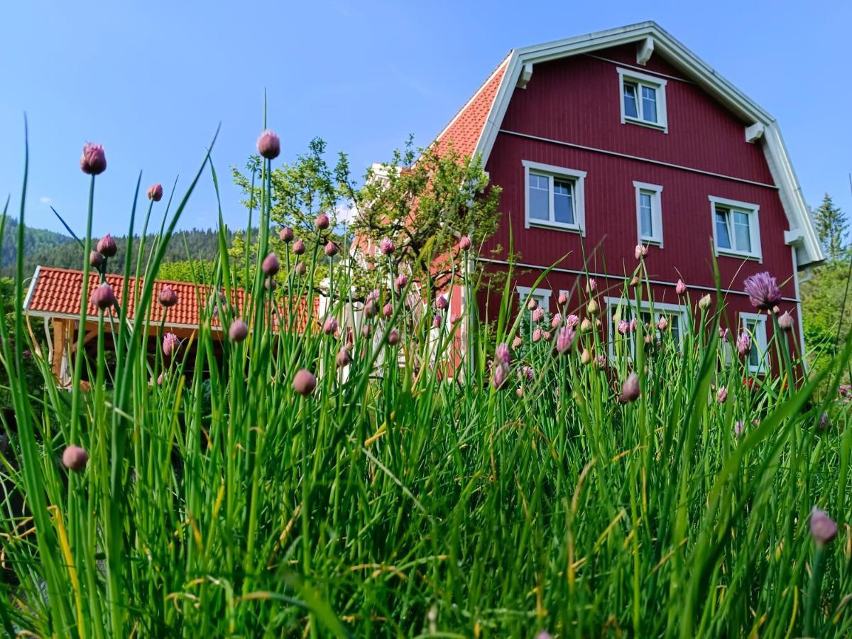 Haus Gruenfels Apartment Murau Exterior photo